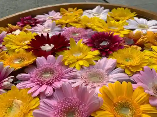 滑川神社 - 仕事と子どもの守り神の手水舎