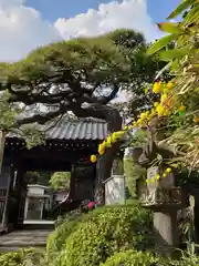 宝泉寺の山門