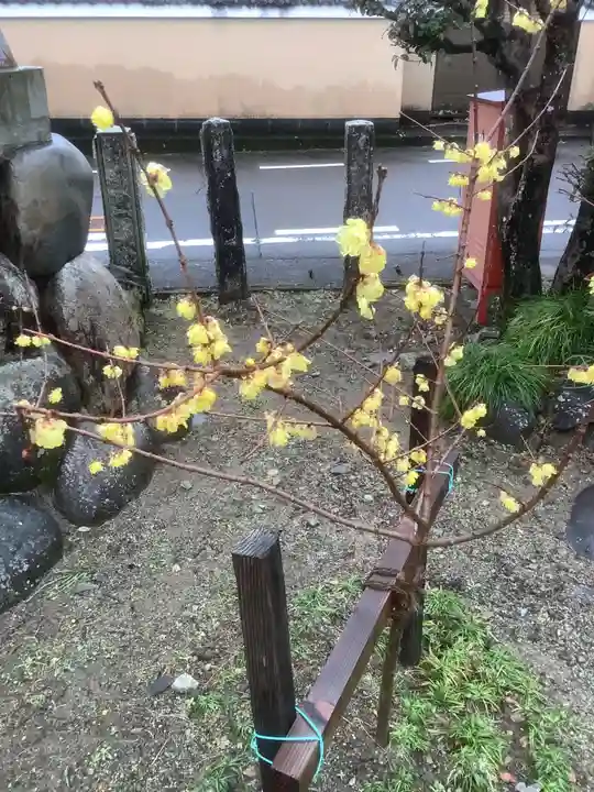 太部古天神社(岐阜県)