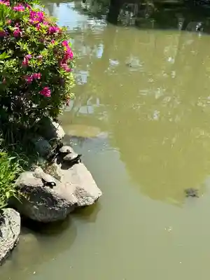 吉備津彦神社(岡山県)