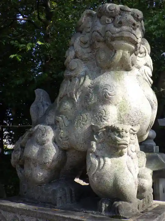 白山神社(二子町)の狛犬