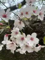 足立山妙見宮(御祖神社)の{uncategorized: "未分類", other: "その他", undefined: "問題あり", building: "その他建物", grave: "お墓", sacred_gate: "鳥居", guardian: "狛犬", statue: "像", buddha: "仏像", history: "歴史", nature: "自然", garden: "庭園", animal: "動物", pagoda: "塔", temizu: "手水舎", mountain_gate: "山門・神門", sanctuary: "本殿・本堂", subordinate: "末社・摂社", art: "芸術", scenery: "景色", jizo: "地蔵", ema: "絵馬", goshuin: "御朱印", omikuji: "おみくじ", items: "授与品その他", amulet: "お守り", goshuincho: "御朱印帳", eats: "食事", festival: "お祭り", votive_dance: "神楽", shichigosan: "七五三参", wedding: "結婚式", experience: "体験その他", initially: "初詣", around: "周辺", anti_infection: "感染症対策"}