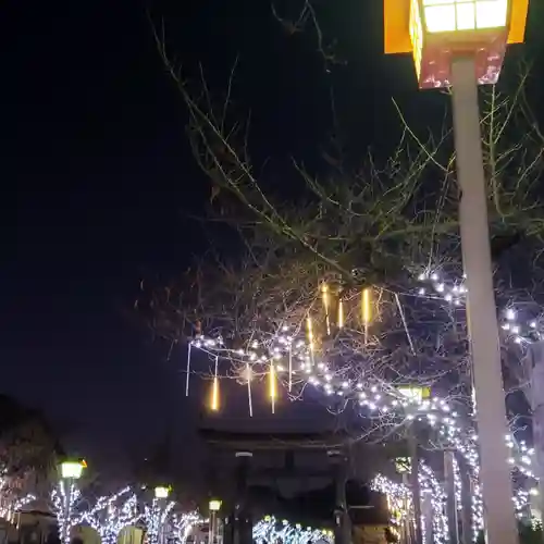 尾張大國霊神社（国府宮）の自然