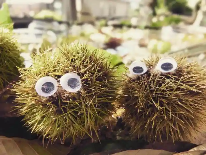 立志神社(滋賀県)