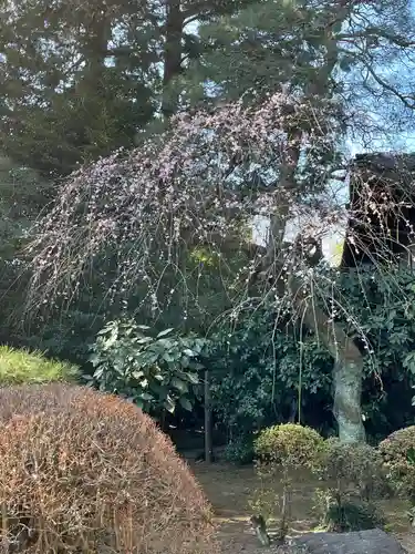 岩槻久伊豆神社(埼玉県)