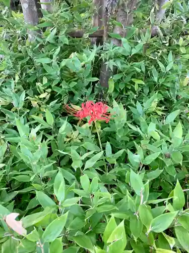 伊勢の国 四天王寺の自然