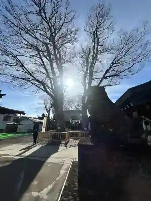 熊野宮(東京都)