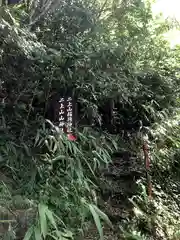 三ヶ所神社奥宮の自然