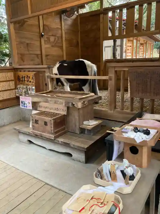 平塚八幡宮(神奈川県)