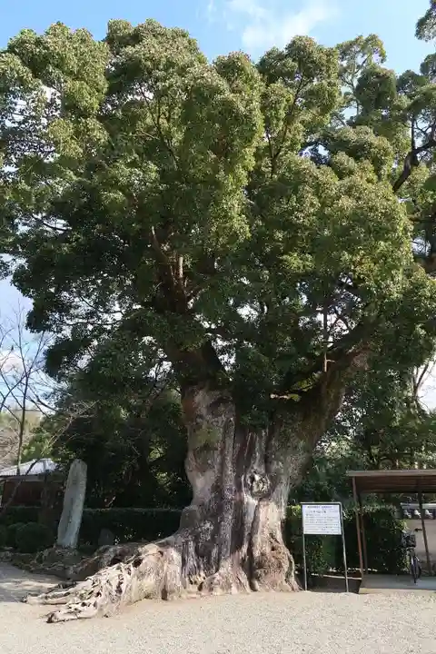 粉河寺(和歌山県)