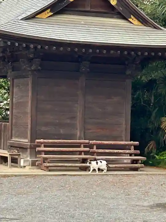 妻沼聖天山歓喜院の動物