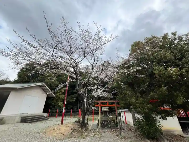 聖神社(大阪府)