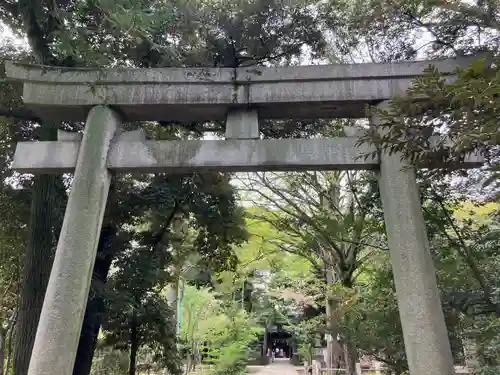 赤坂氷川神社(東京都)