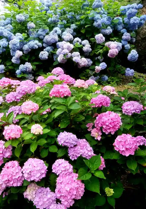 有珠善光寺(北海道)