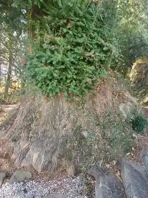 無量院（蓮華寺）のその他建物