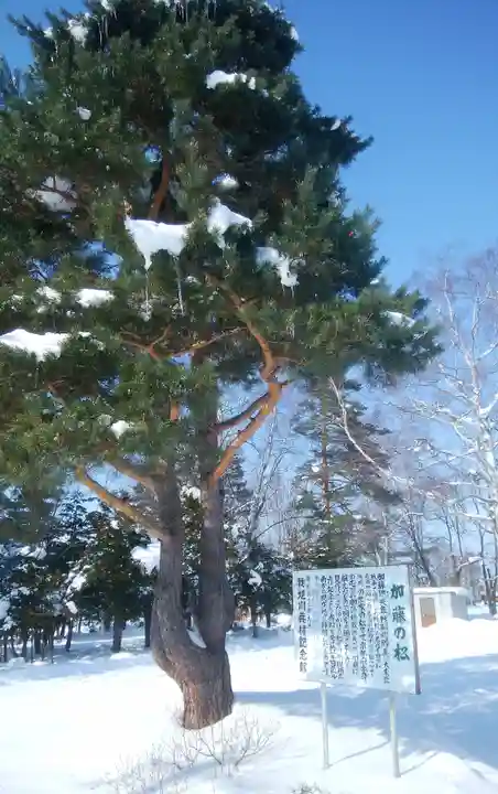 旭川神社の自然