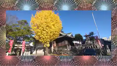 尾久八幡神社(東京都)