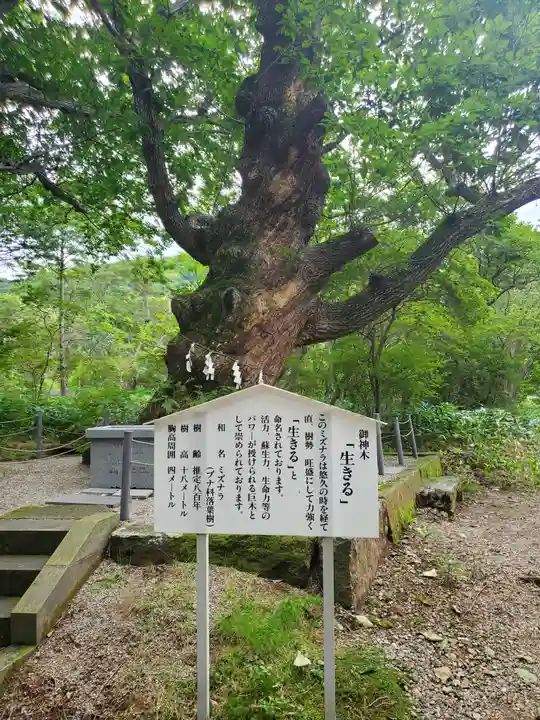 那須温泉神社の自然