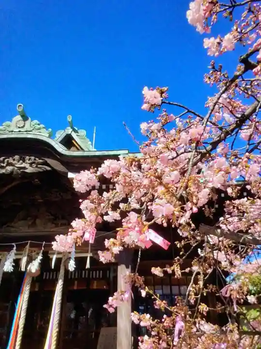 桜神宮(東京都)