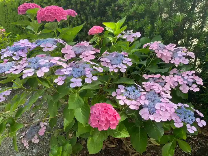 美奈宜神社(福岡県)