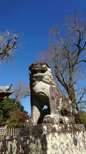 津森神宮の狛犬