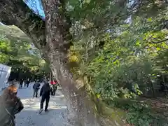 伊勢神宮内宮（皇大神宮）(三重県)