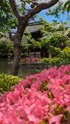 神泉苑(京都府)