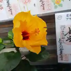 妙蓮寺の自然