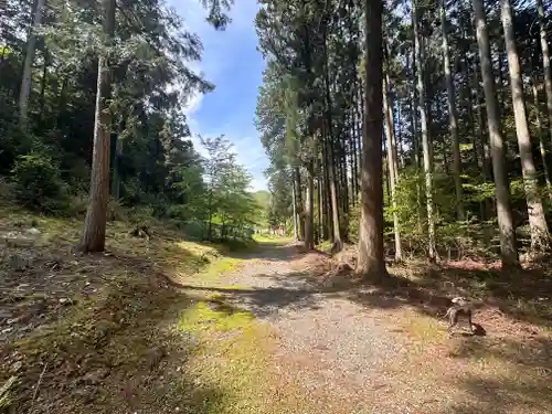春日神社(京都府)
