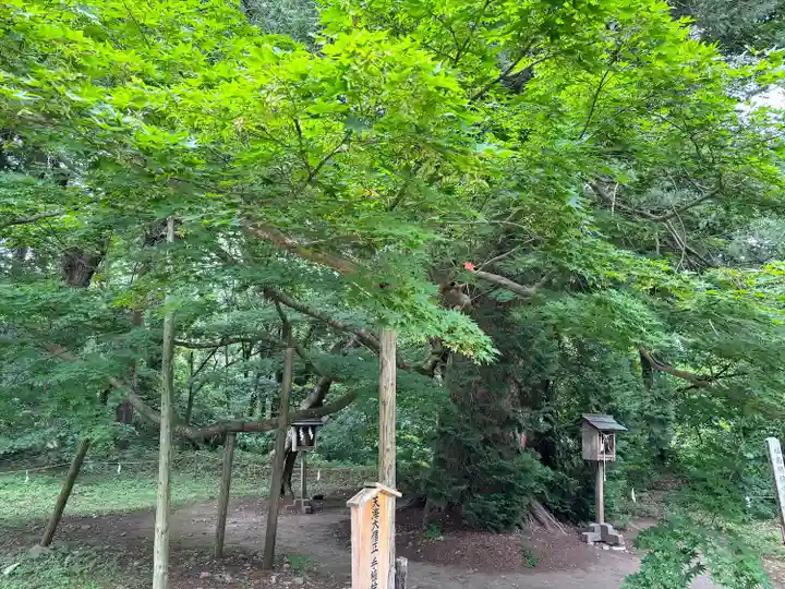 伊佐須美神社(福島県)