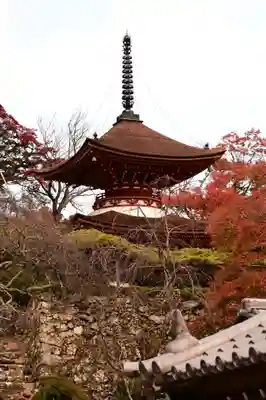 善峯寺(京都府)