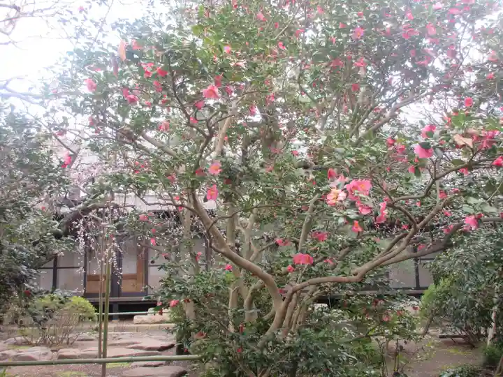 宝戒寺(神奈川県)