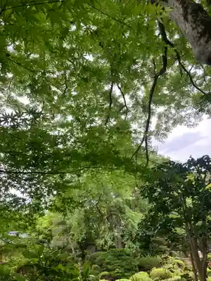 安楽寺(京都府)