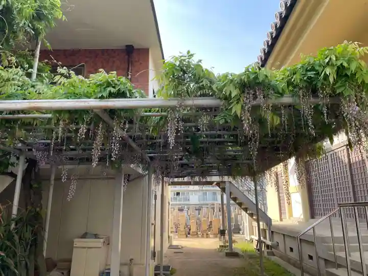 藤之寺(兵庫県)