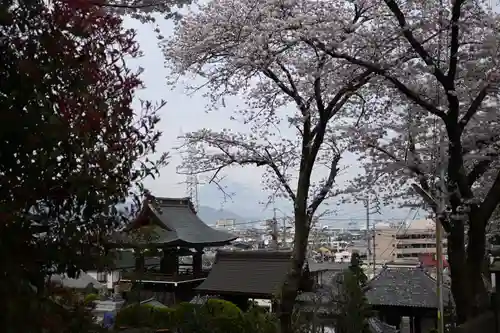 鉄舟寺(静岡県)