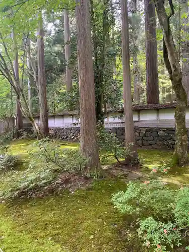 平泉寺白山神社(福井県)