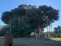 安養寺(千葉県)