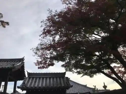 雲住寺のその他建物