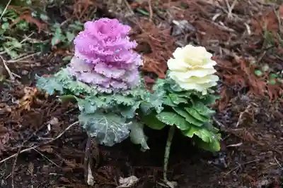 八幡神社(千葉県)
