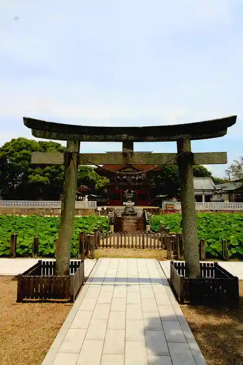 伊賀八幡宮(愛知県)