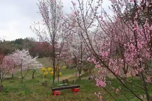 阿久津「田村神社」（郡山市阿久津町）旧社名：伊豆箱根三嶋三社の庭園