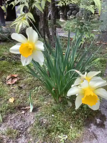 若宮神明社の自然