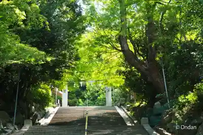四條畷神社(大阪府)