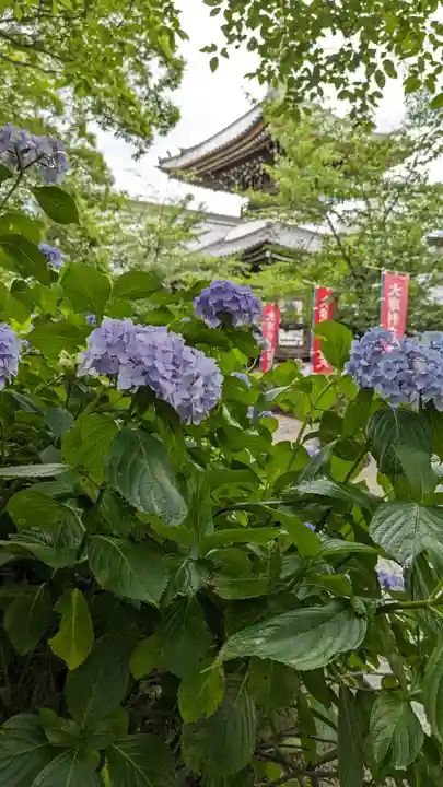 本法寺(京都府)
