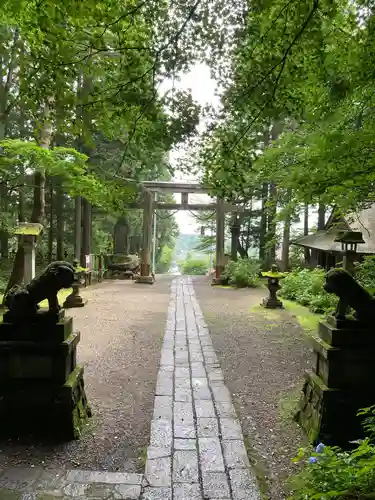 戸隠神社宝光社の鳥居