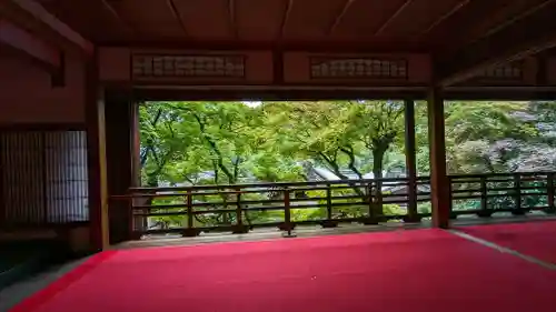 柳谷観音　楊谷寺(京都府)
