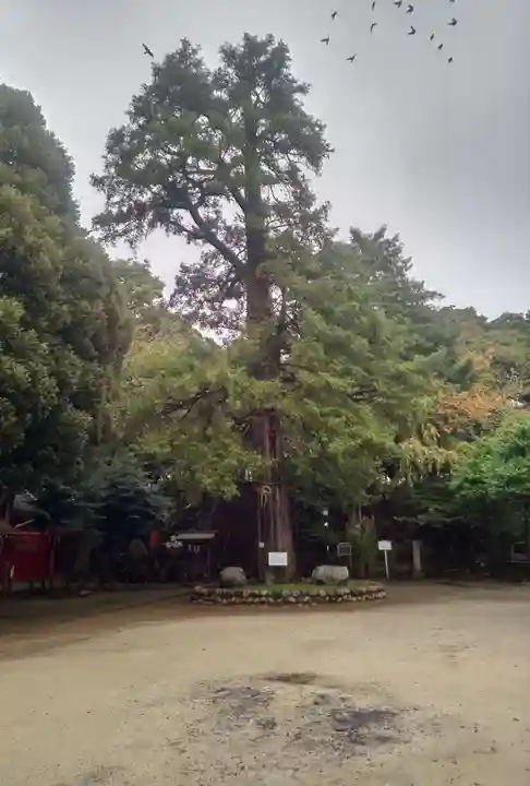 駒込富士神社の自然