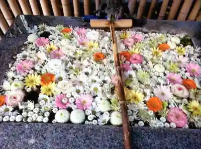 高円寺氷川神社(東京都)