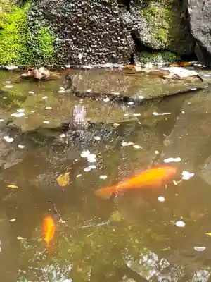 熊野神社(東京都)