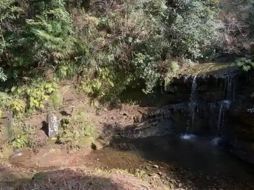 稱名寺（称名寺）の{uncategorized: "未分類", other: "その他", undefined: "問題あり", building: "その他建物", grave: "お墓", sacred_gate: "鳥居", guardian: "狛犬", statue: "像", buddha: "仏像", history: "歴史", nature: "自然", garden: "庭園", animal: "動物", pagoda: "塔", temizu: "手水舎", mountain_gate: "山門・神門", sanctuary: "本殿・本堂", subordinate: "末社・摂社", art: "芸術", scenery: "景色", jizo: "地蔵", ema: "絵馬", goshuin: "御朱印", omikuji: "おみくじ", items: "授与品その他", amulet: "お守り", goshuincho: "御朱印帳", eats: "食事", festival: "お祭り", votive_dance: "神楽", shichigosan: "七五三参", wedding: "結婚式", experience: "体験その他", initially: "初詣", around: "周辺", anti_infection: "感染症対策"}